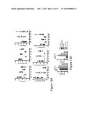 MICROBE-BASED MODULATION OF SEROTONIN BIOSYNTHESIS diagram and image