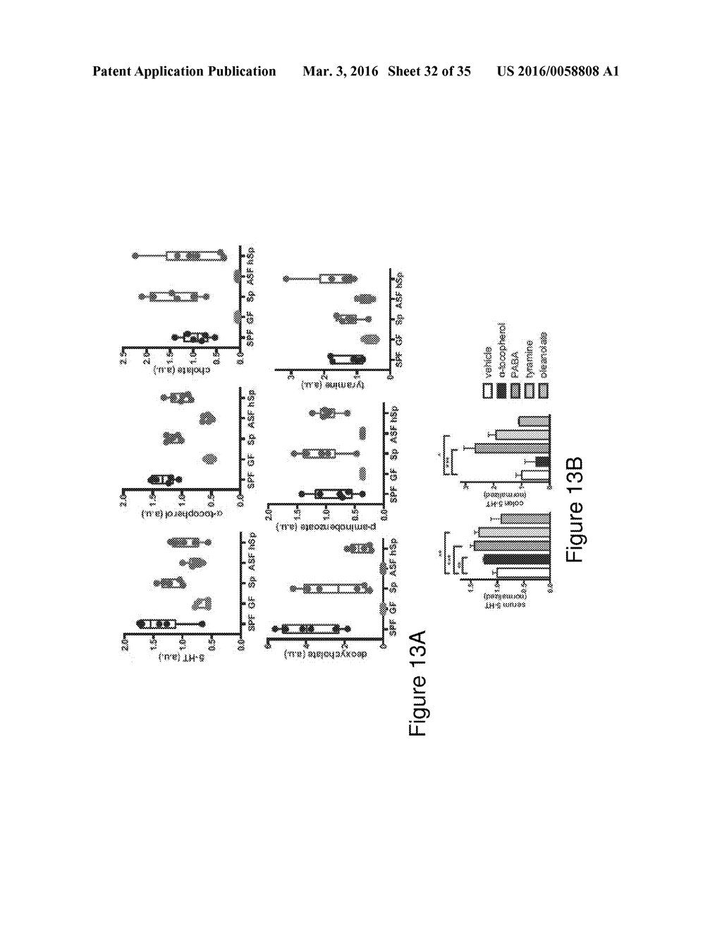 MICROBE-BASED MODULATION OF SEROTONIN BIOSYNTHESIS - diagram, schematic, and image 33