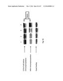 PLANT EXTRACTS AND RELATED COMPOSITIONS, METHODS AND SYSTEMS diagram and image