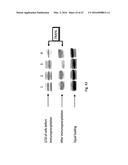 PLANT EXTRACTS AND RELATED COMPOSITIONS, METHODS AND SYSTEMS diagram and image