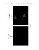 PLANT EXTRACTS AND RELATED COMPOSITIONS, METHODS AND SYSTEMS diagram and image