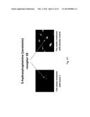 PLANT EXTRACTS AND RELATED COMPOSITIONS, METHODS AND SYSTEMS diagram and image