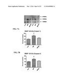 MITOCHONDRIAL-TARGETED ANTIOXIDANTS PROTECT AGAINST MECHANICAL     VENTILATION-INDUCED DIAPHRAGM DYSFUNCTION AND SKELETAL MUSCLE ATROPHY diagram and image