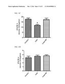 MITOCHONDRIAL-TARGETED ANTIOXIDANTS PROTECT AGAINST MECHANICAL     VENTILATION-INDUCED DIAPHRAGM DYSFUNCTION AND SKELETAL MUSCLE ATROPHY diagram and image