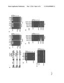 TREATMENT OF CARDIO-RENAL DISEASE USING PCSK6 diagram and image