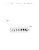 TREATMENT OF SYNUCLEINOPATHIES diagram and image