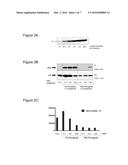 TREATMENT OF SYNUCLEINOPATHIES diagram and image