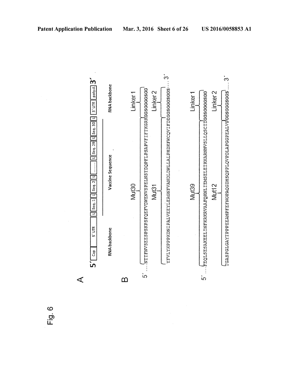 INDIVIDUALIZED VACCINES FOR CANCER - diagram, schematic, and image 07