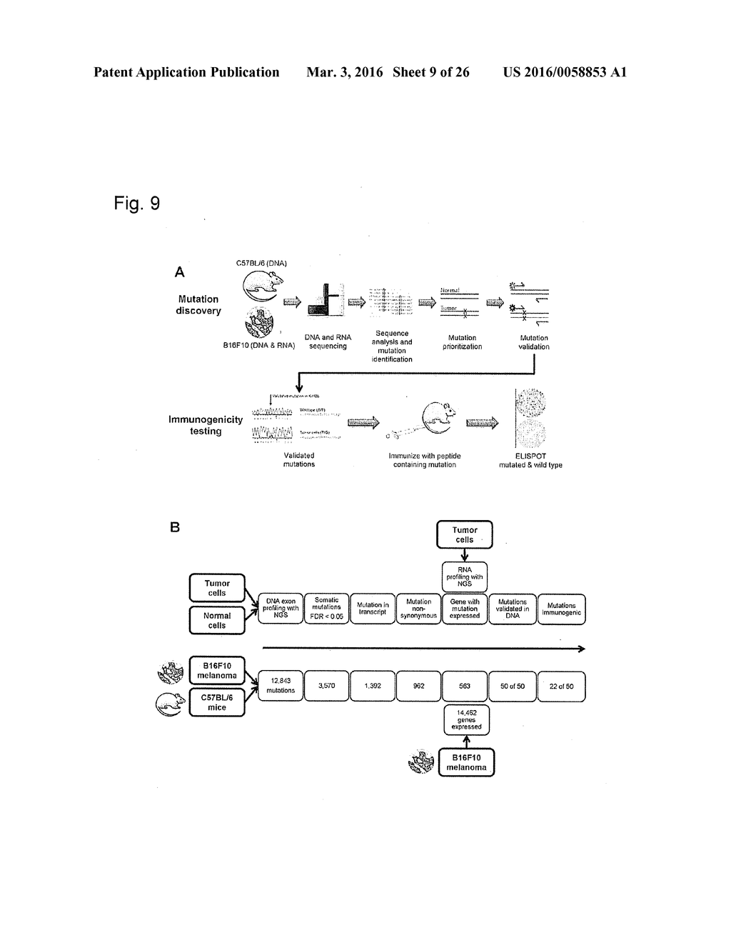 INDIVIDUALIZED VACCINES FOR CANCER - diagram, schematic, and image 10