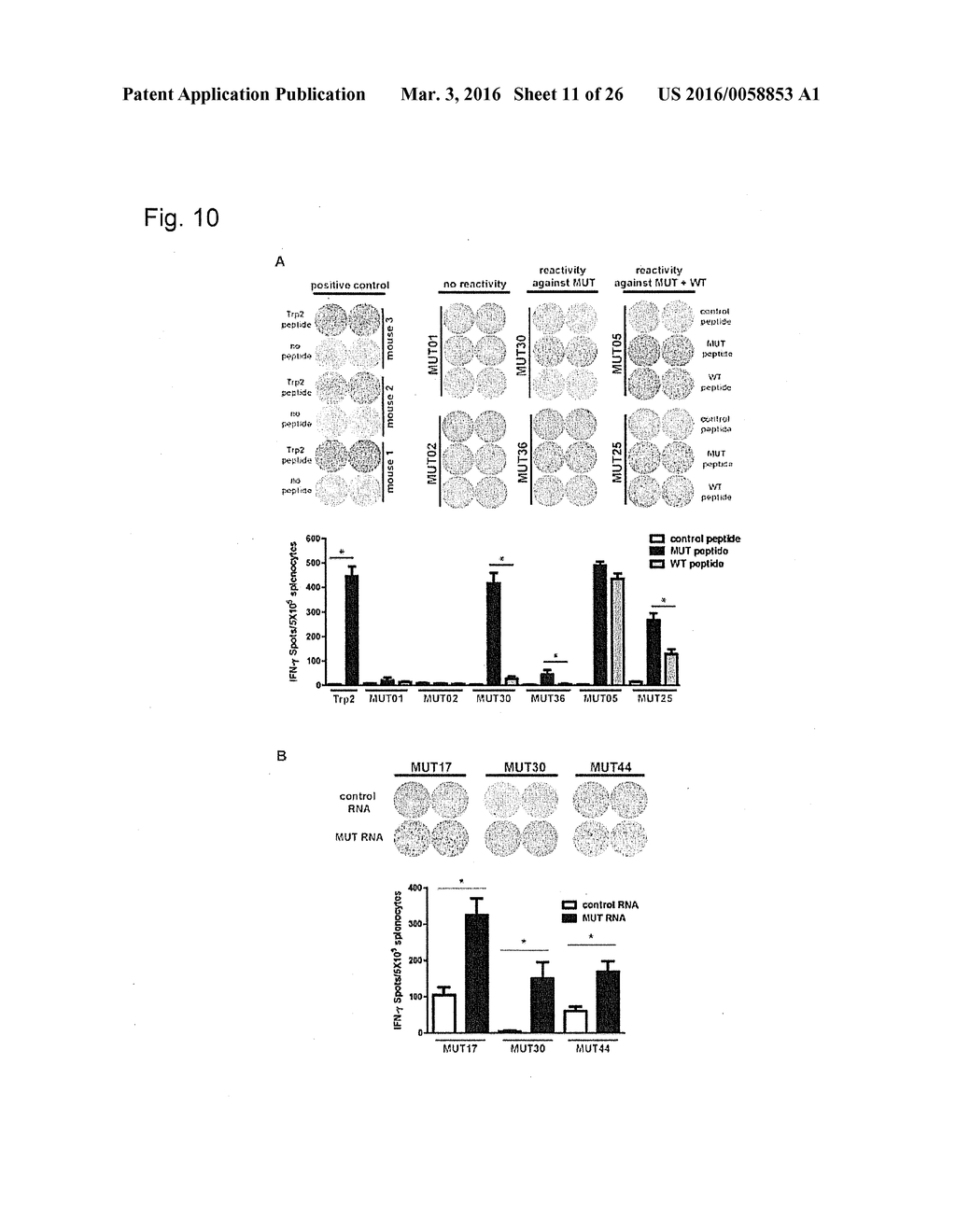 INDIVIDUALIZED VACCINES FOR CANCER - diagram, schematic, and image 12