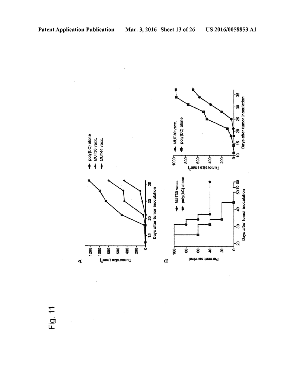 INDIVIDUALIZED VACCINES FOR CANCER - diagram, schematic, and image 14