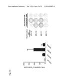 INDIVIDUALIZED VACCINES FOR CANCER diagram and image