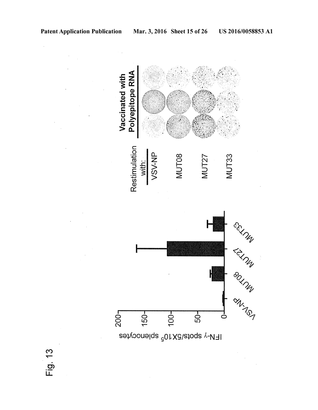 INDIVIDUALIZED VACCINES FOR CANCER - diagram, schematic, and image 16