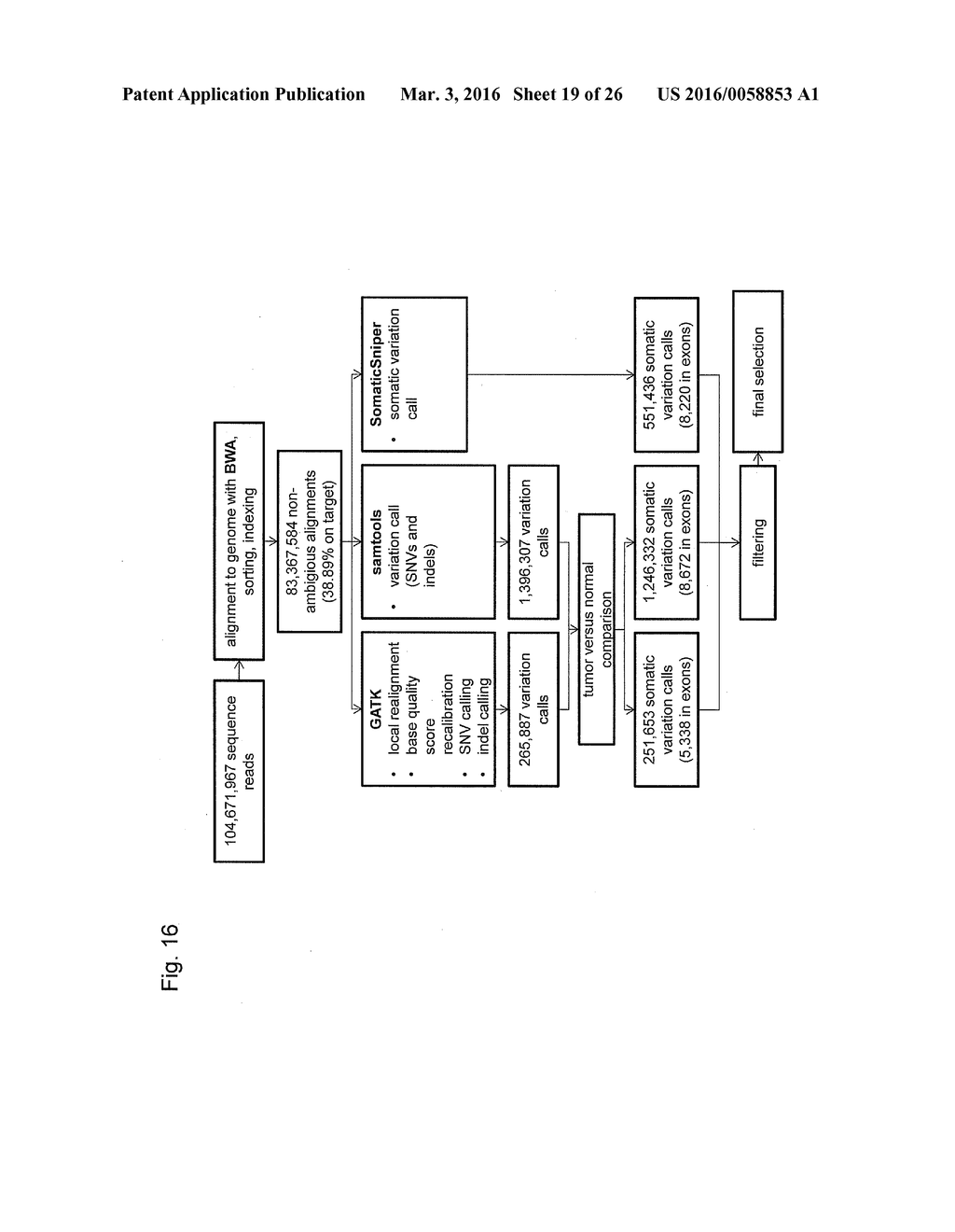 INDIVIDUALIZED VACCINES FOR CANCER - diagram, schematic, and image 20