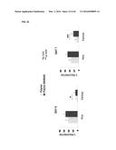 IMMUNOGENIC COMPLEX FOR VACCINATION AND METHOD FOR THE PRODUCTION THEREOF diagram and image