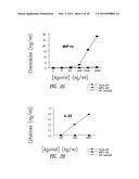 VACCINE COMPOSITION CONTAINING SYNTHETIC ADJUVANT diagram and image