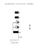 VACCINE COMPOSITION CONTAINING SYNTHETIC ADJUVANT diagram and image