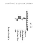 VACCINE COMPOSITION CONTAINING SYNTHETIC ADJUVANT diagram and image