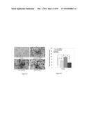 CROSSLINKED CHITOSAN-LACTIDE HYDROGELS diagram and image