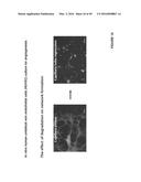 CROSSLINKED CHITOSAN-LACTIDE HYDROGELS diagram and image