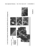 CROSSLINKED CHITOSAN-LACTIDE HYDROGELS diagram and image