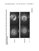 CROSSLINKED CHITOSAN-LACTIDE HYDROGELS diagram and image