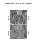 CROSSLINKED CHITOSAN-LACTIDE HYDROGELS diagram and image