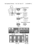 NOVEL PEPTIDE COMPLEXES diagram and image