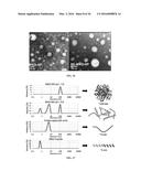 Polyplexes diagram and image