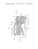 CRYOLIPOLYSIS DEVICES AND METHODS THEREFOR diagram and image