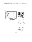 SEMICONDUCTOR-OXIDES NANOTUBES-BASED COMPOSITE PARTICLES USEFUL FOR     DYE-REMOVAL AND PROCESS THEREOF diagram and image