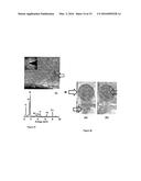 SEMICONDUCTOR-OXIDES NANOTUBES-BASED COMPOSITE PARTICLES USEFUL FOR     DYE-REMOVAL AND PROCESS THEREOF diagram and image