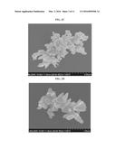 INTERMETALLIC NANOPARTICLES diagram and image