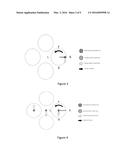 Controlling Rotary Wing Aircraft diagram and image