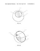 Disposable Bag and the Method of Using the Same diagram and image