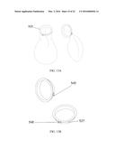 Disposable Bag and the Method of Using the Same diagram and image