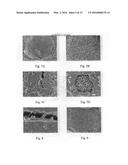 Geopolymer with Nanoparticle Retardant and Method diagram and image