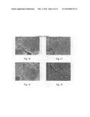 Geopolymer with Nanoparticle Retardant and Method diagram and image
