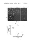 COMPOUNDS FOR TREATMENT OF ANGIOGENESIS-MEDIATED DISEASES diagram and image