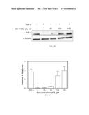 COMPOUNDS FOR TREATMENT OF ANGIOGENESIS-MEDIATED DISEASES diagram and image