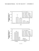 COMPOUNDS FOR TREATMENT OF ANGIOGENESIS-MEDIATED DISEASES diagram and image