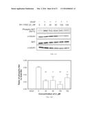 COMPOUNDS FOR TREATMENT OF ANGIOGENESIS-MEDIATED DISEASES diagram and image