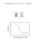 COMPOUNDS FOR TREATMENT OF ANGIOGENESIS-MEDIATED DISEASES diagram and image