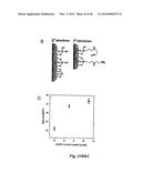 NITRIC OXIDE-RELEASING PARTICLES FOR NITRIC OXIDE THERAPEUTICS AND     BIOMEDICAL APPLICATIONS diagram and image