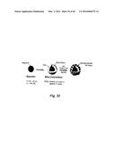 NITRIC OXIDE-RELEASING PARTICLES FOR NITRIC OXIDE THERAPEUTICS AND     BIOMEDICAL APPLICATIONS diagram and image