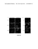 PEPTIDE COMPOUNDS AND METHODS OF PRODUCTION AND USE THEREOF diagram and image