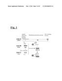 TARGETING TRASTUZUMAB-RESISTANT HER2+ BREAST CANCER WITH A HER3-TARGETING     NANOPARTICLE diagram and image