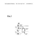 TARGETING TRASTUZUMAB-RESISTANT HER2+ BREAST CANCER WITH A HER3-TARGETING     NANOPARTICLE diagram and image