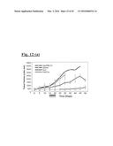 TARGETING TRASTUZUMAB-RESISTANT HER2+ BREAST CANCER WITH A HER3-TARGETING     NANOPARTICLE diagram and image