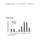 TARGETING TRASTUZUMAB-RESISTANT HER2+ BREAST CANCER WITH A HER3-TARGETING     NANOPARTICLE diagram and image